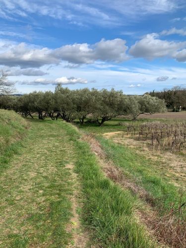 WhatsApp-Image-2026-02-21-at-07.20.22-2