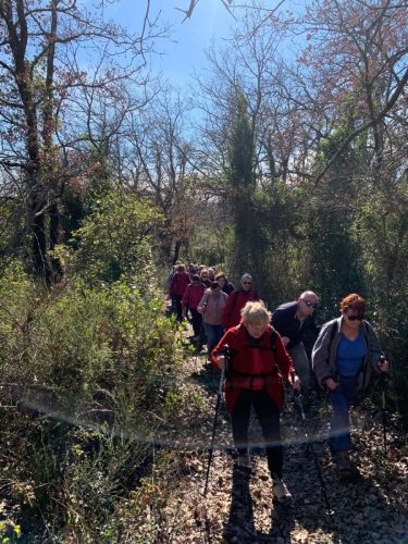 WhatsApp-Image-2026-02-21-at-07.20.22