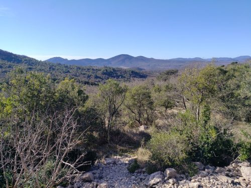 IMG 20260223 101404456