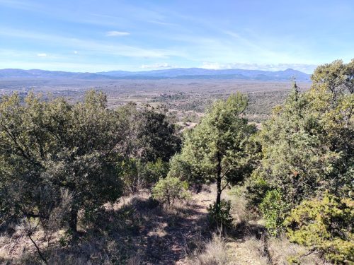 IMG 20260223 134725514