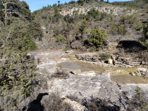 IMG 20260223 141335383