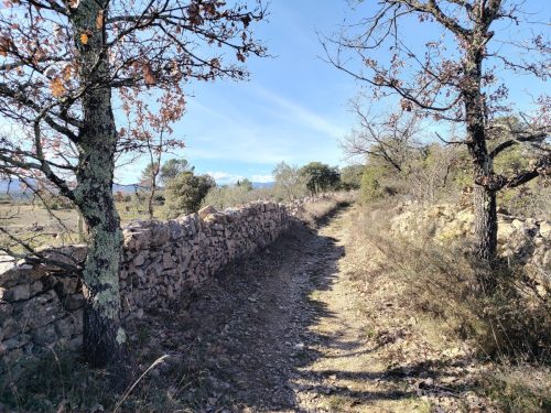 IMG 20260223 142645257