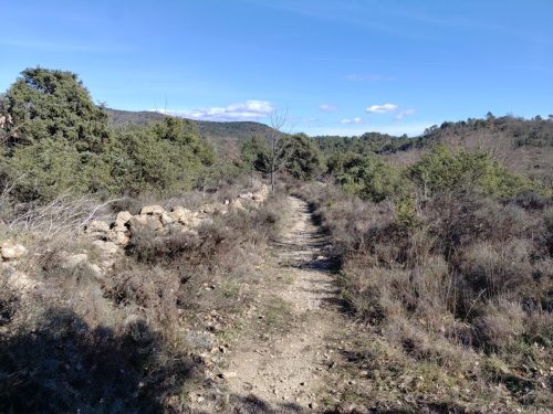 IMG 20260223 142648396