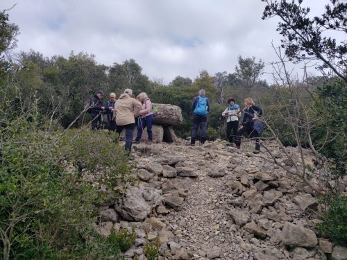 IMG 20260227 103020631