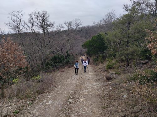 IMG 20260227 115033472