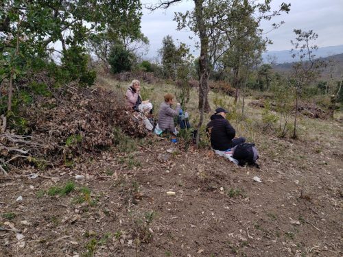 IMG 20260227 121435973