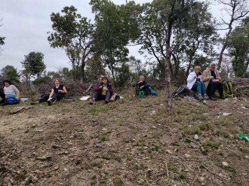 IMG 20260227 121443934