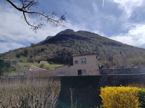 IMG 20260313 132940846