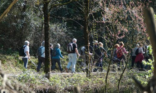 2026-03-20-St-Jean-de-Valeriscle-VISA-2000-24