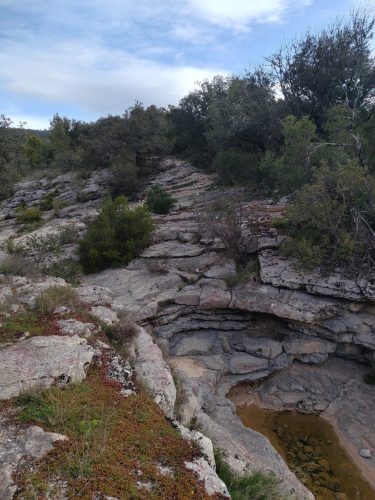 IMG 20260330 093730120