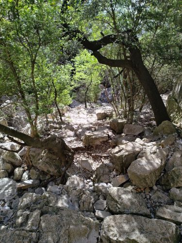 IMG 20260330 105712465