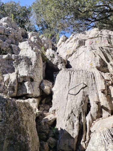 IMG 20260330 110501239