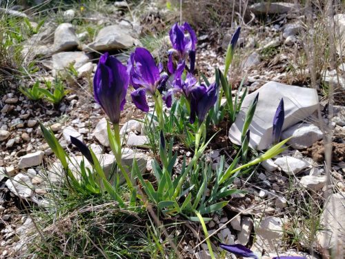 IMG 20260330 120245682