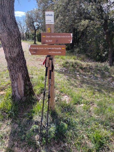 IMG 20260330 133212460