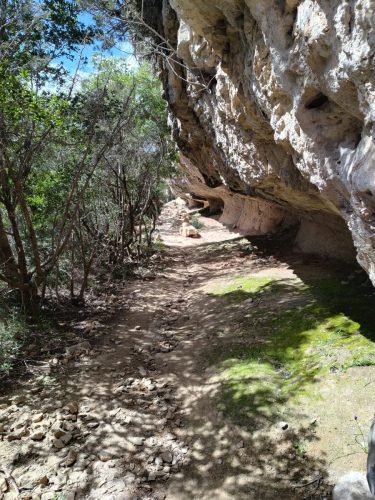 IMG 20260330 141336107