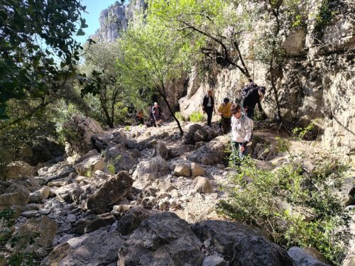 IMG 20260403 105302087