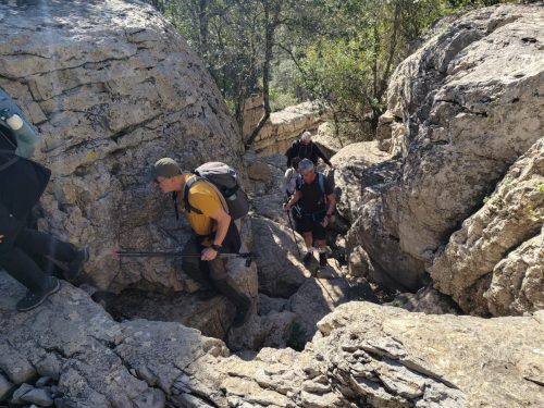 IMG 20260403 110238056