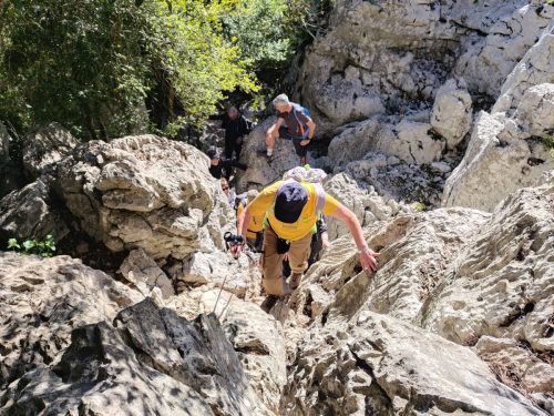 IMG 20260403 110807686