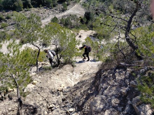 IMG 20260403 123333034