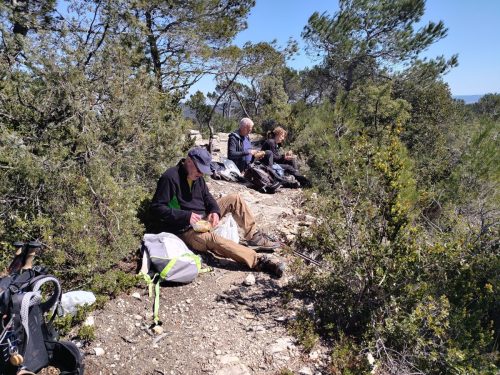 IMG 20260403 124141516