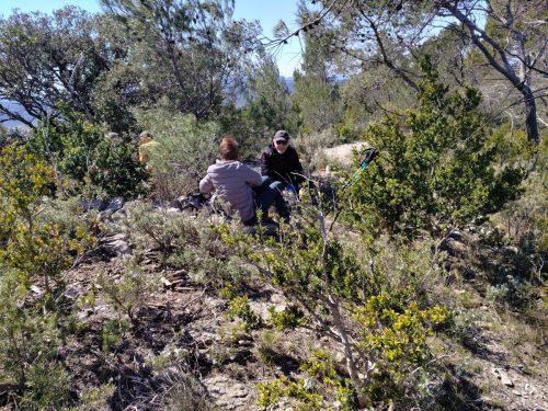 IMG 20260403 124152412