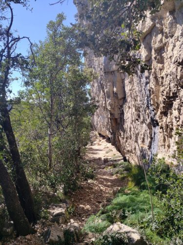 IMG 20260403 143106039