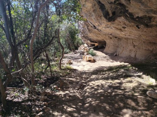 IMG 20260403 143304432