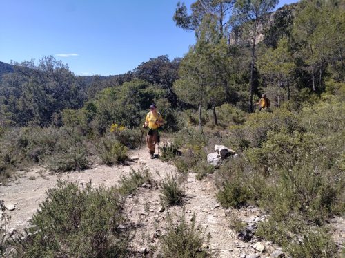 IMG 20260403 144719208