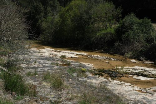 2026-04-03-Mialet-VISA-2000-04