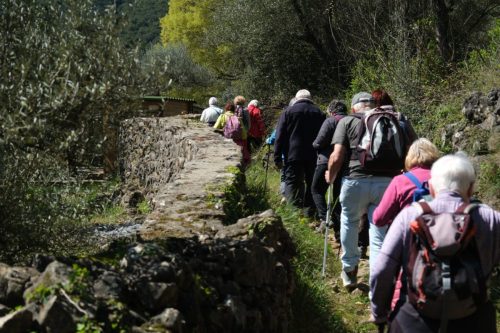 2026-04-03-Mialet-VISA-2000-05