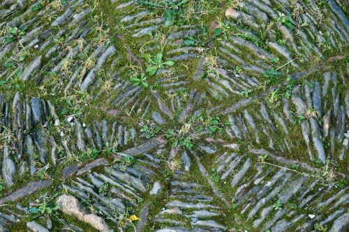 2026-04-03-Mialet-VISA-2000-09