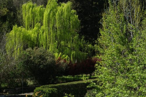 2026-04-03-Mialet-VISA-2000-29