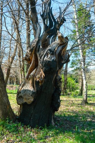 2026-04-03-Mialet-VISA-2000-37