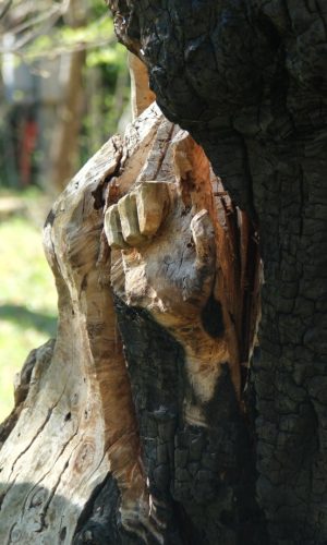 2026-04-03-Mialet-VISA-2000-39