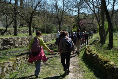 2026-04-03-Mialet-VISA-2000-54