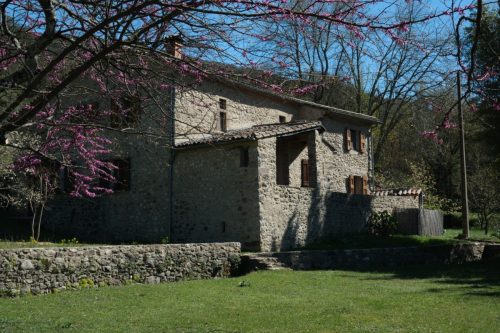 2026-04-03-Mialet-VISA-2000-55