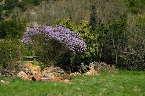 2026-04-03-Mialet-VISA-2000-64