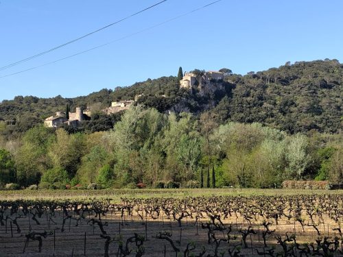 IMG 20260410 101503547