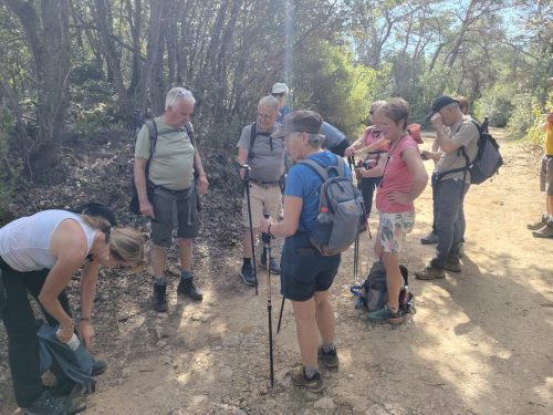 IMG 20260410 112020598