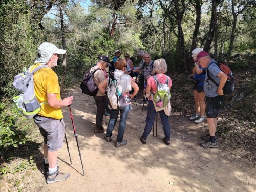 IMG 20260410 112034175