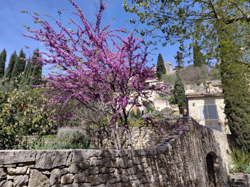 IMG 20260410 121752157