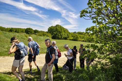 DSC9999