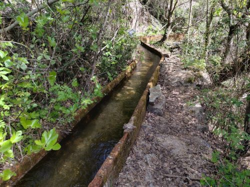 les-gorges-de-Chassezac-13