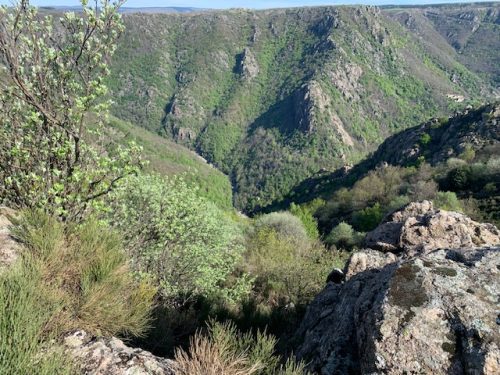les-gorges-de-Chassezac-21