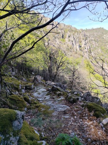 les-gorges-de-Chassezac-3