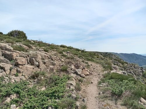 les-gorges-de-Chassezac-39