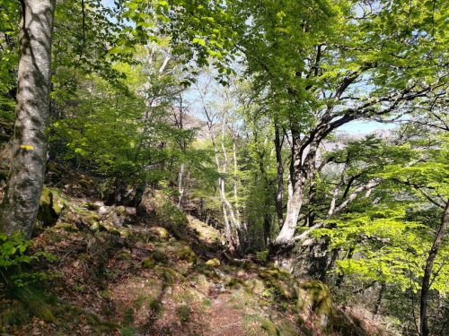 les-gorges-de-Chassezac-4