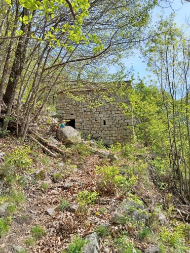 les-gorges-de-Chassezac-45