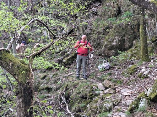 les-gorges-de-Chassezac-7