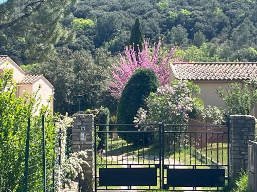 WhatsApp-Image-2026-04-17-at-21.44.12-1